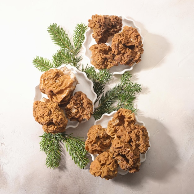 Morels mushrooms and firtree branches arranged on light background