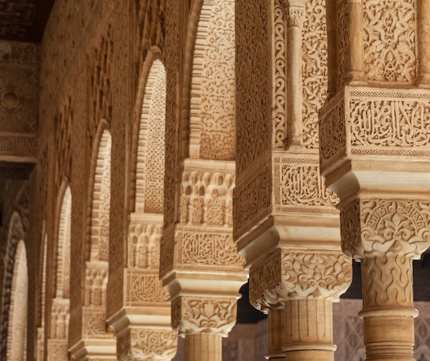 Moresque ornaments from Alhambra Islamic Royal Palace, Granada, Spain. 16th century.