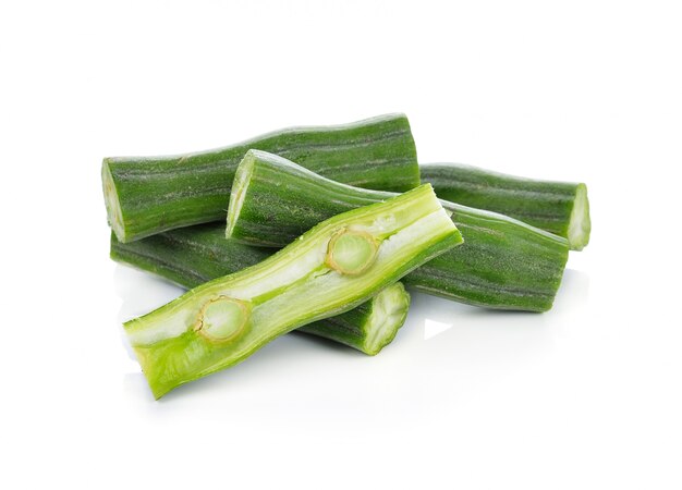 Moringa isolated on a white background