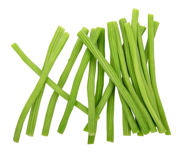 Moringa isolated on a white background