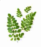 Photo moringa leaves have medicinal properties top view