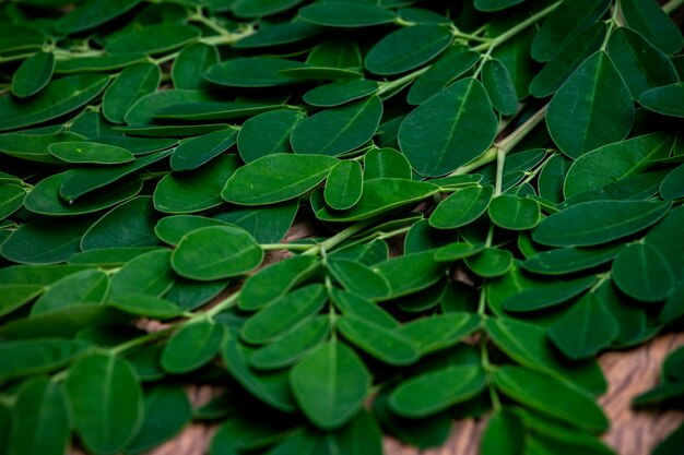 Photo moringa leaves lay on the wooden table isolated