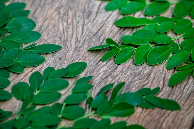 Photo moringa leaves lay on the wooden table isolated