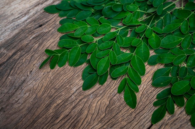 Photo moringa leaves lay on the wooden table isolated