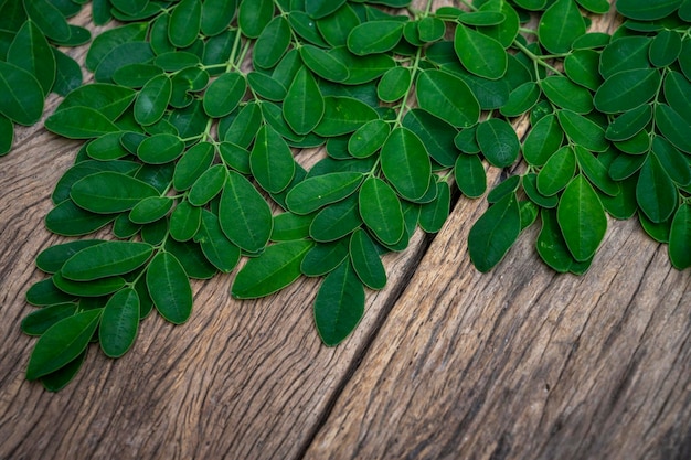 Photo moringa leaves lay on the wooden table isolated