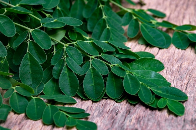 Photo moringa leaves lay on the wooden table isolated