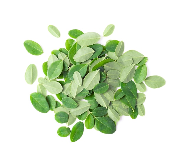 Moringa leaves on white background.