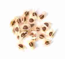 Photo moringa oleifera seed dried from moringa tree isolated with white background top view