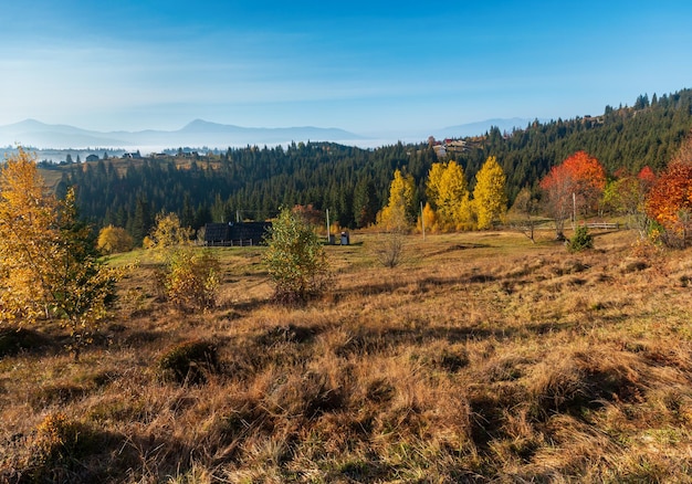 아침 가을 Carpathians 풍경