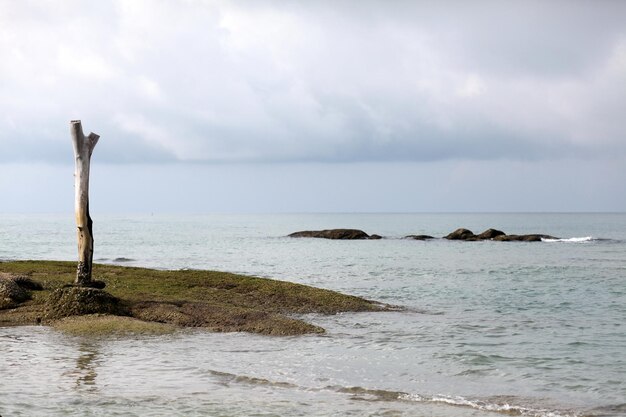 穏やかな海の朝