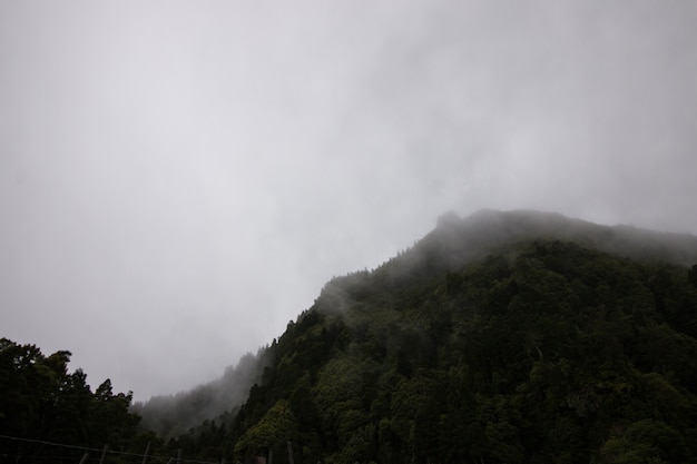 山の中の朝の凝縮