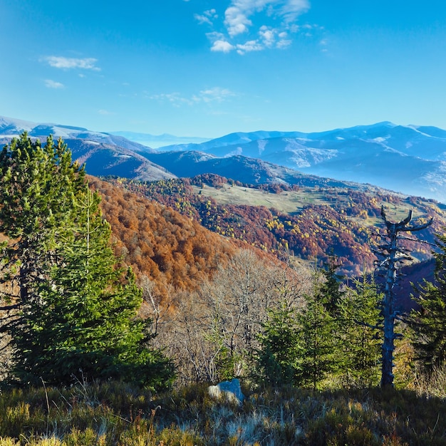 Morning fog in autumn Carpathian