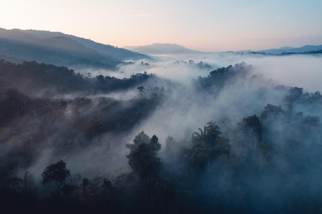 Morning fog and clouds in the hill forest