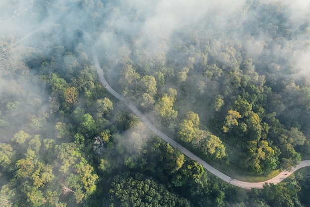 Morning fog and clouds in the hill forest