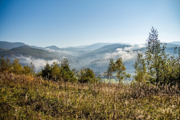 Morning fog in the mountains in the countryside clear blue sky\
clean air concept