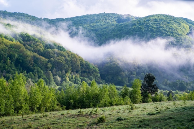 Morning fog in the mountains A natural phenomenon ecological nature The forests are covered with fog in the summer season