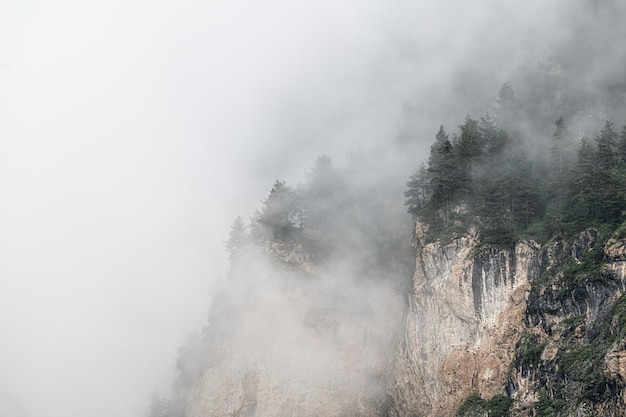 日の出の山の朝の霧岩や木々の上の雲