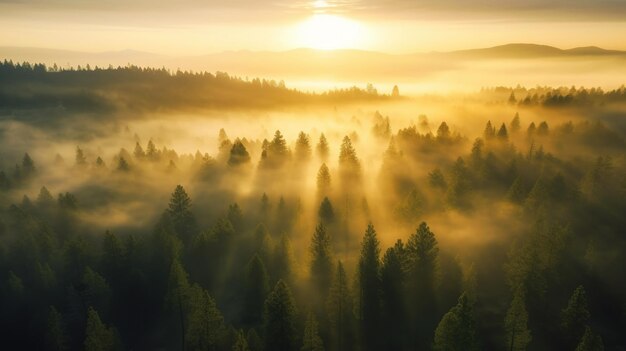 Morning fog in the mountains