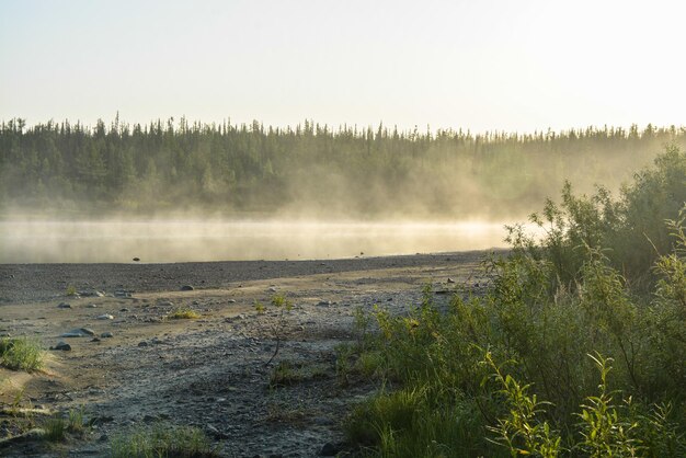 Morning fog on the river