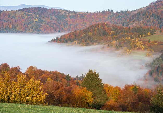 Morning foggy clouds in autumn mountain countryside Ukraine Carpathian Mountains Transcarpathia