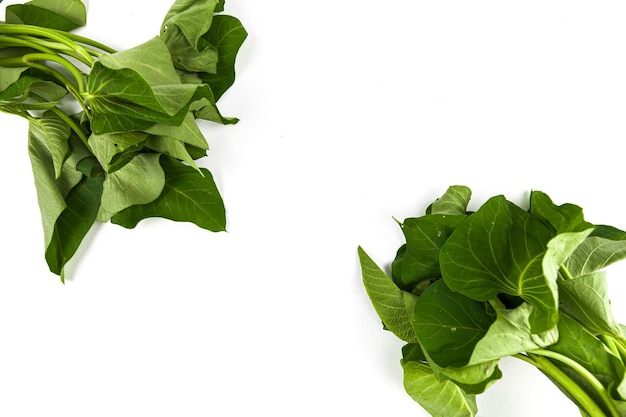 Photo morning glory isolated on white background spinach