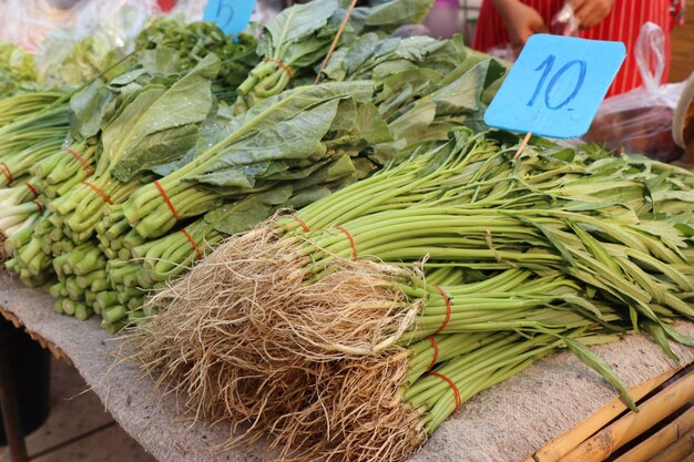 Morning glory op de markt