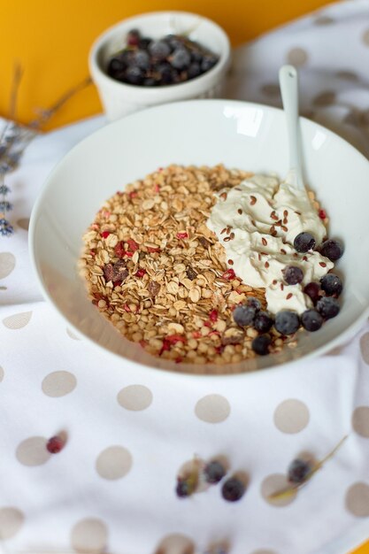 Morning granola breakfast with greek yougurt and blueberry