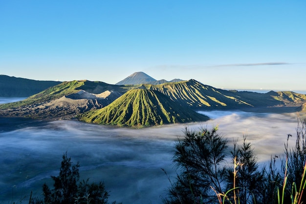 사진 산속의 아침 산을 덮고 있는 안개 bromo indonesia