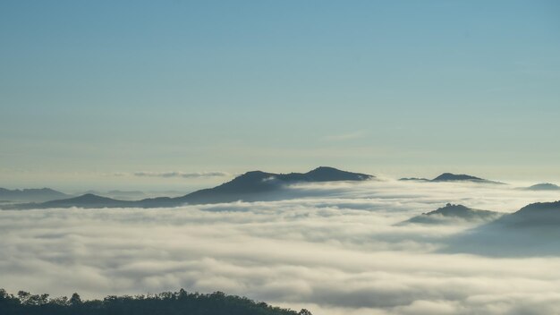 写真 濃い霧の谷の朝