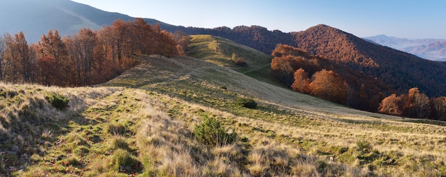 Morning landscape in the autumn. The mountain panorama with the road in the dry grass. Carpathians, Ukraine, Europe