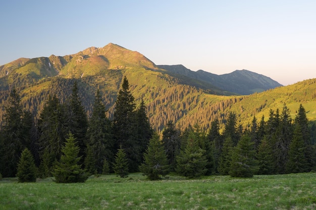 Morning landscape in the mountains