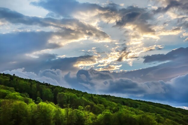 Morning landscape on the slopes of the Carpathians Ukraine