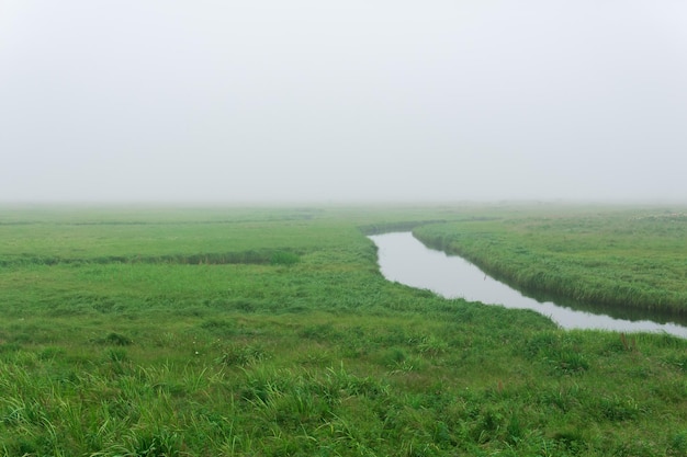 Morning landscape a vast meadow with calm river among lush grass is hidden by fog