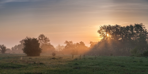 Morning landscape with meadow near river, beautiful summer sunrise with fog and sun, panorama