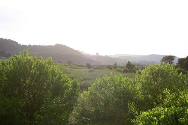 朝の風景