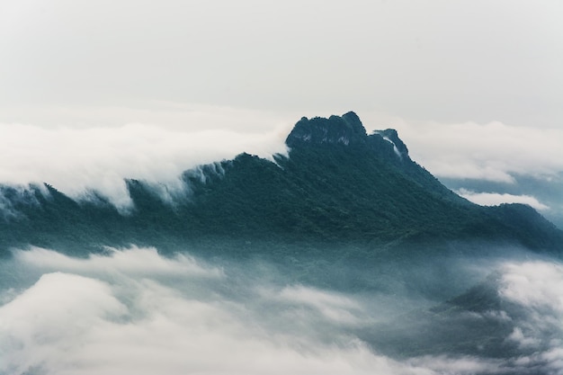 ミスの山海と朝霧