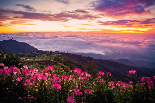 Morning Mist with Mountain Sunrise and sea of mis