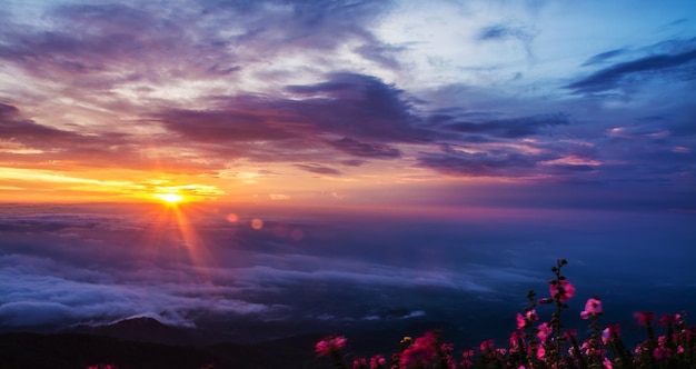 Morning mist with mountain sunrise and sea of mis