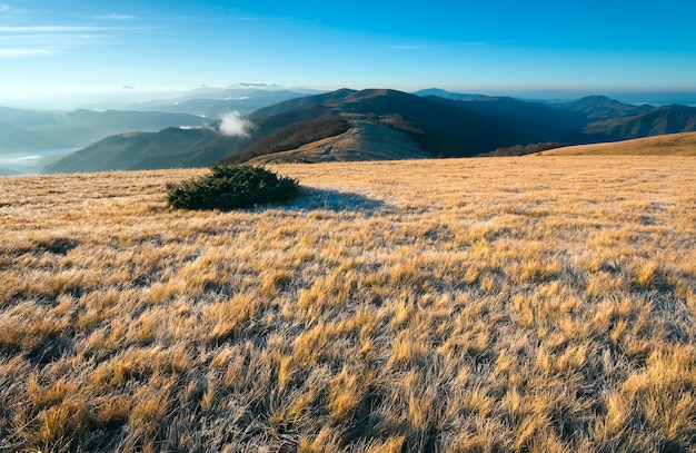 朝の霧深い秋の山の風景（カルパティア山脈、ウクライナ）