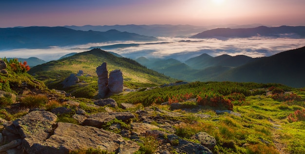 아침 산 고원 풍경