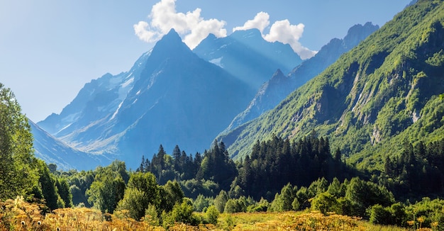 Morning in the mountains. Scenic valley in the Caucasus Mountains, Dombay. Summer and snow-capped peaks.	