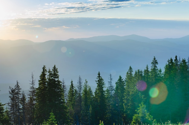 Morning in Mountains