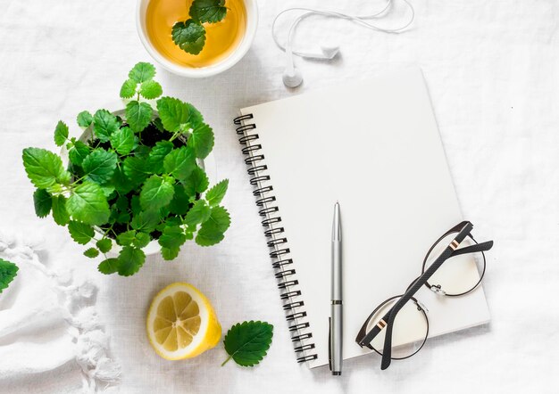 Morning planning inspiration and melissa lemon green tea Blank notepad cup of tea melissa flower pot on a white background