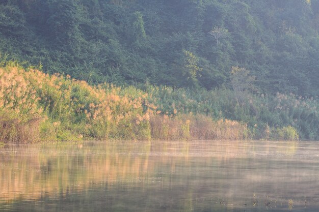 Morning's fog over the lake