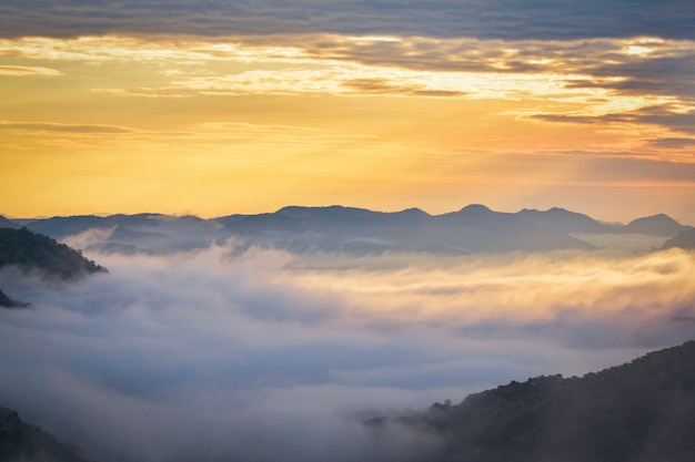 Mattina del paesaggio di alba della scena di mattina con alba della nebbia sopra nebbioso