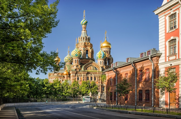 Фото Утренняя тишина в храме спаса-на-крови в санкт-петербурге