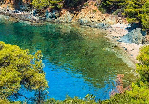 Morning summer Aegean Sea coast with pine trees on shore and small beach, Sithonia, Halkidiki, Greece.