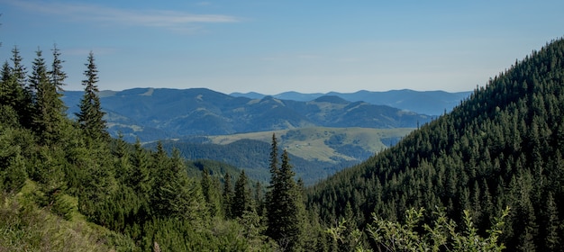 Morning sunny day is in mountain landscape