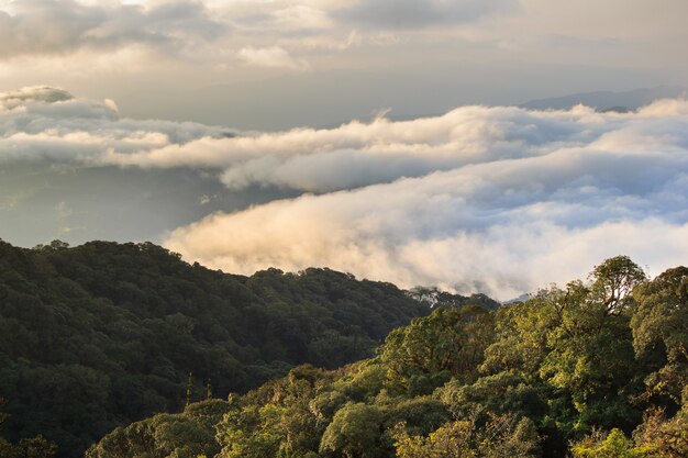 Photo morning view of inthanon mountain, chiang mai, thailand