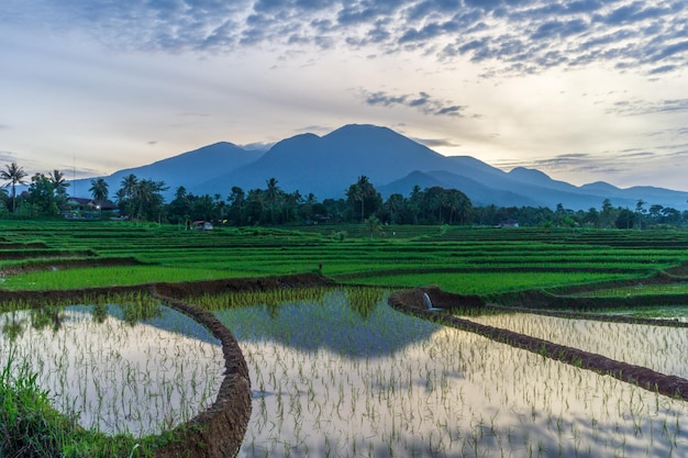 インドネシアの田んぼの山の反射の朝景